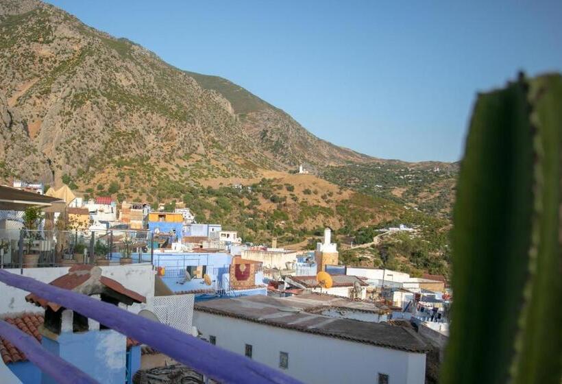 اتاق استاندارد با چشم‌انداز کوهستان, Afra House