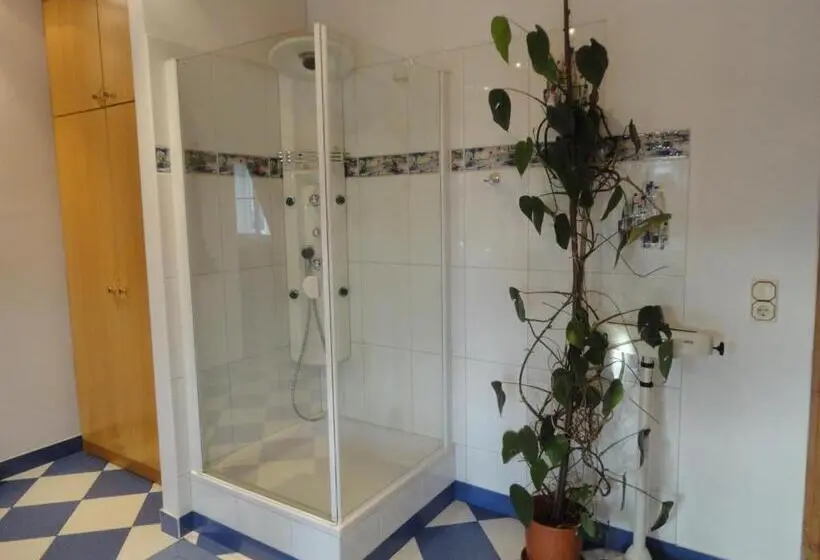 スタンダードルーム, Zeilinger Villa