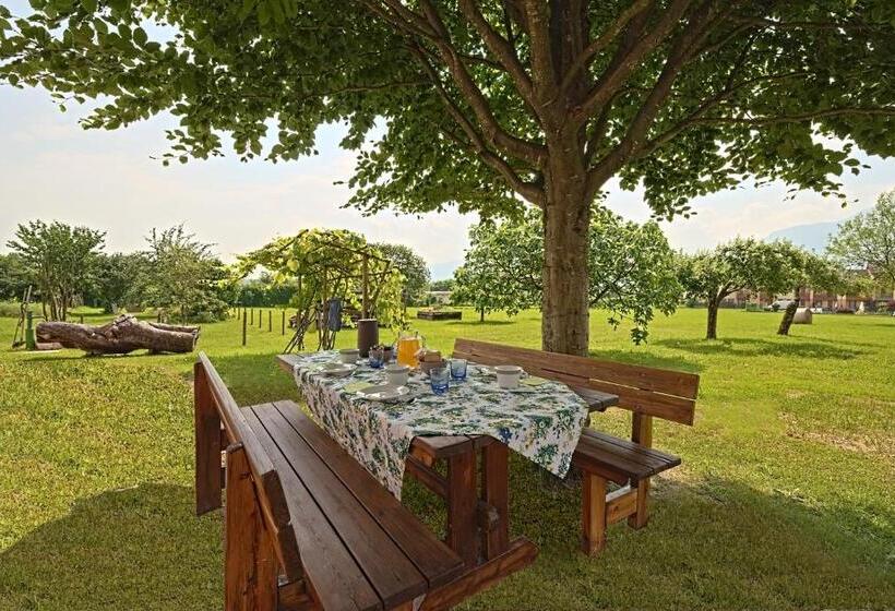 Familjerum, Lio E Lara