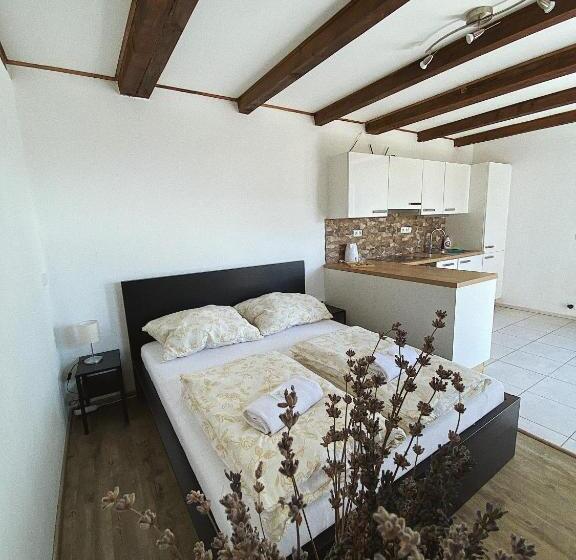 ガーデンビューのスタンダードワンルーム, Penzion Levandule A Palava