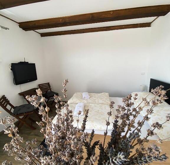 ガーデンビューのスタンダードワンルーム, Penzion Levandule A Palava