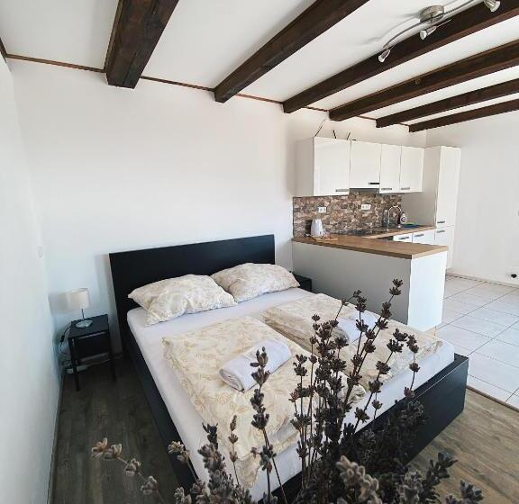 ガーデンビューのスタンダードワンルーム, Penzion Levandule A Palava