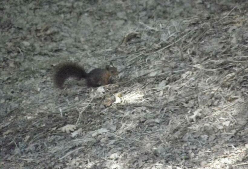 ２ベッドルームハウス, Quinta Mata Da Sé