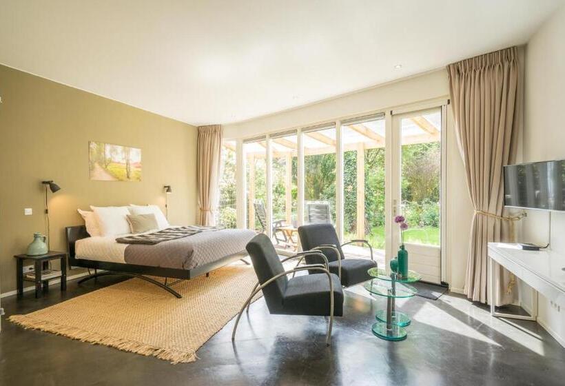 חדר סטנדרט עם טרסה, B&bveluwezoom