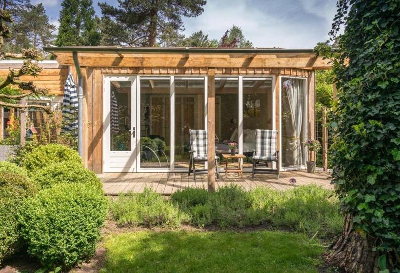 חדר סטנדרט עם טרסה, B&bveluwezoom