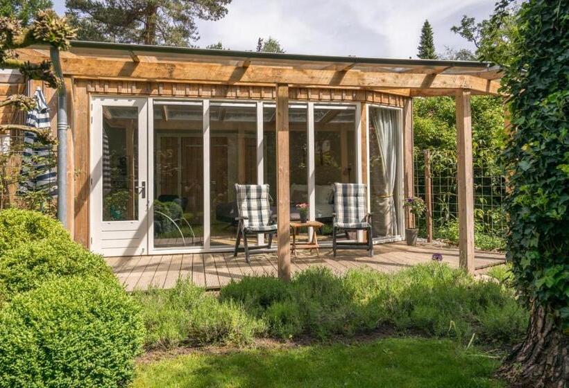 Номер Стандарт с Террасой, B&bveluwezoom