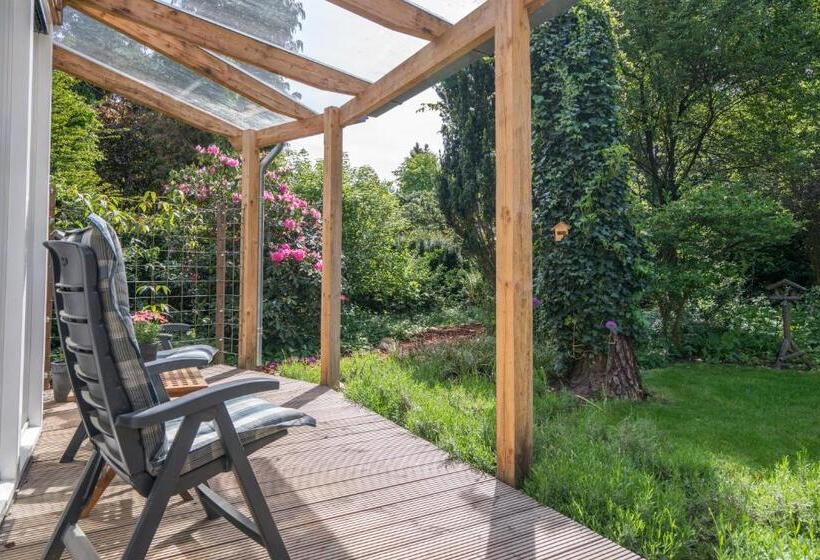 חדר סטנדרט עם טרסה, B&bveluwezoom