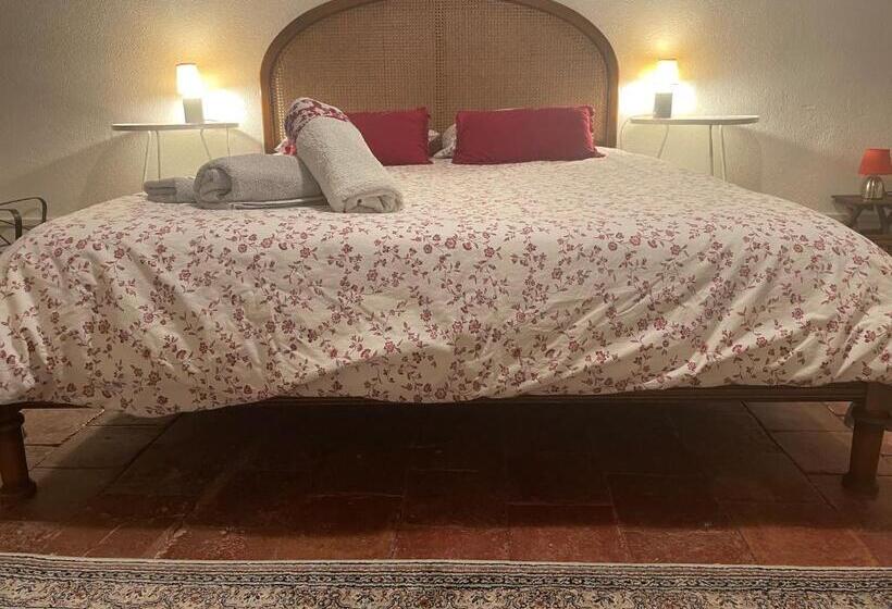 패밀리 룸, La Mascotte