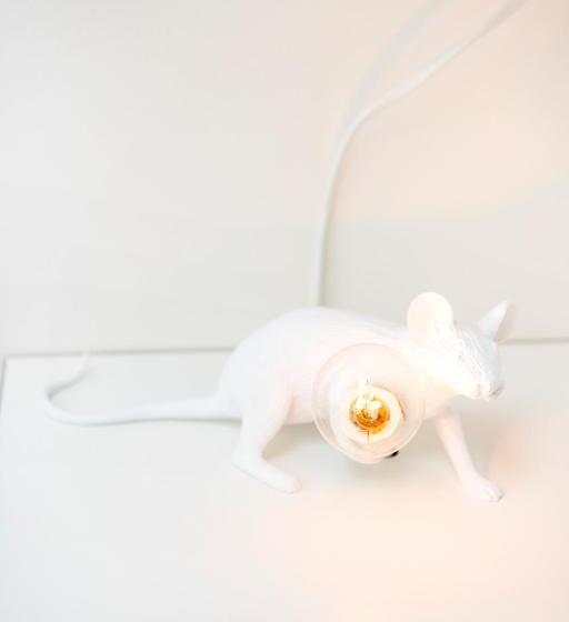 غرفة إقتصادية, Bruno