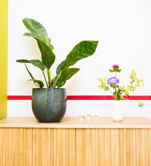 غرفة قياسية, Bruno