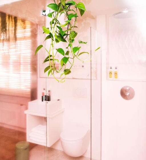 غرفة قياسية, Bruno