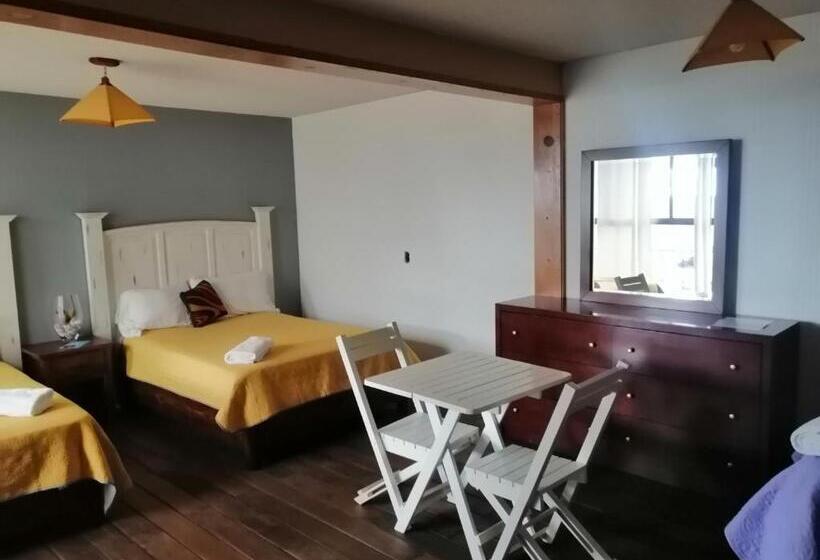 Studio Standard, Hostal Mago