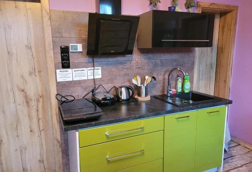 سوئیت با چشم‌انداز رودخانه, Penzion U Elišky