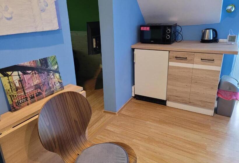 اتاق استاندارد یک نفره, Penzion U Elišky