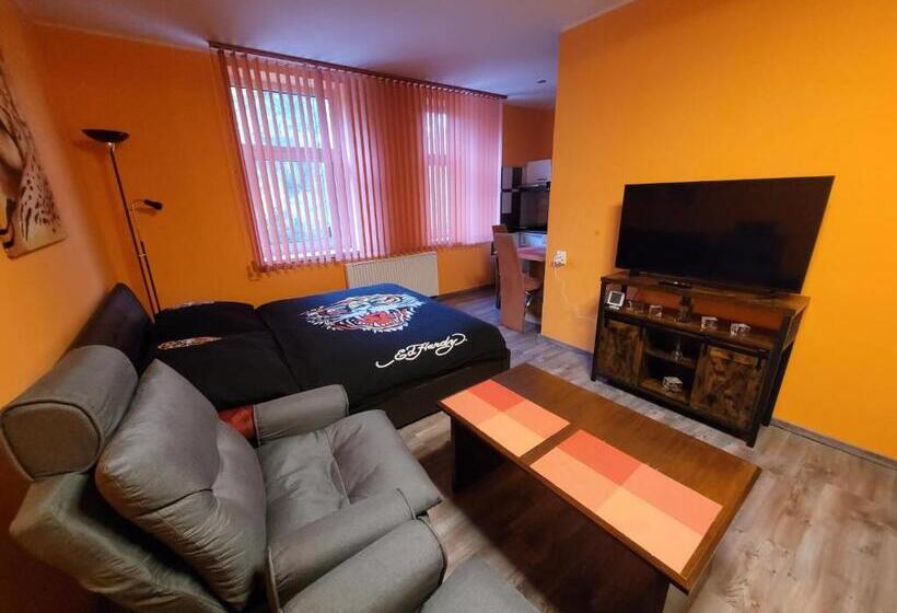 اتاق استاندارد, Penzion U Elišky