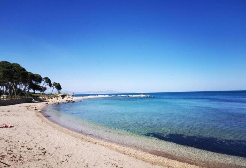 스탠다드 룸 바다 전망, Villa Valerie Bio & Zen