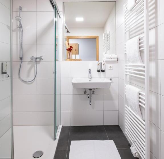 シングルデラックスルーム, Schlosshotel Horneck