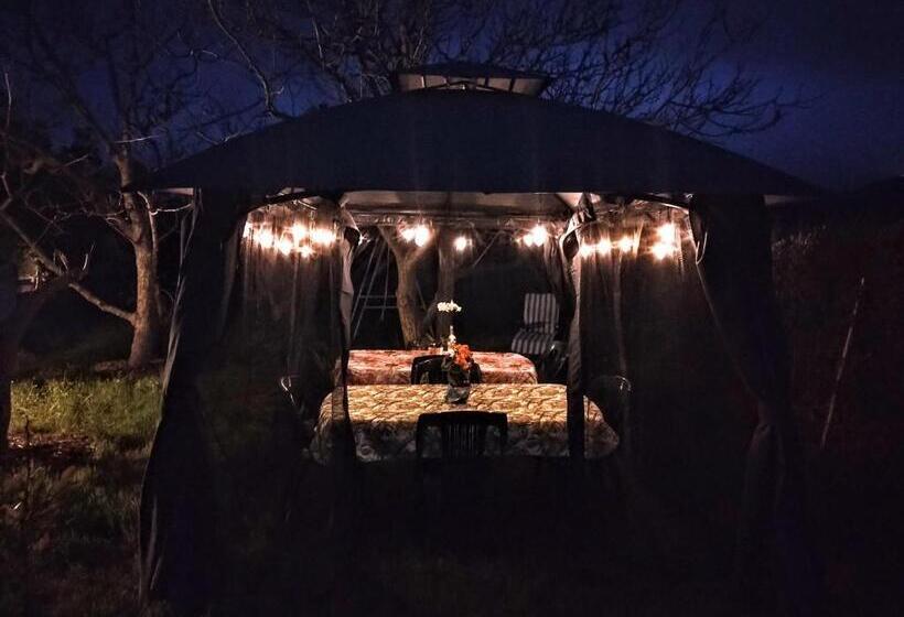 غرفة قياسية مع حمام خارجي, Alghero In Bicicletta