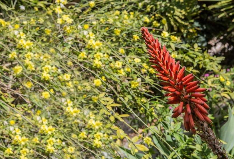 غرفة قياسية, Alghero In Bicicletta
