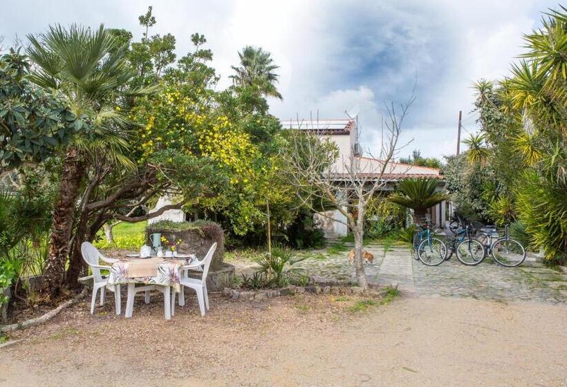 غرفة قياسية, Alghero In Bicicletta