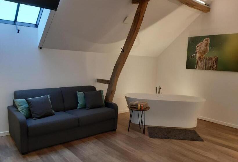 غرفة ديلوكس, De Bonderbei