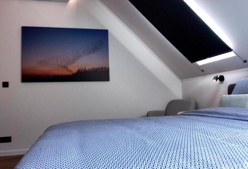 غرفة قياسية, De Bonderbei