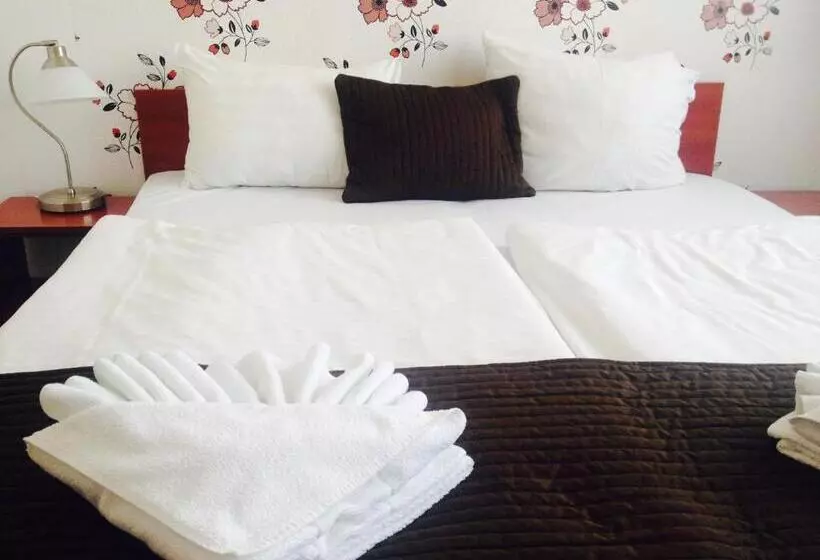 Camera Standard, Canada Hotel Budapest