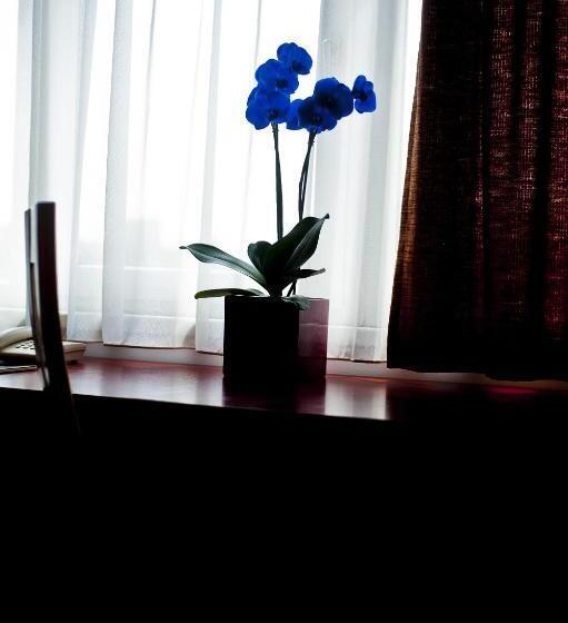 스탠다드 룸, Canada Hotel Budapest