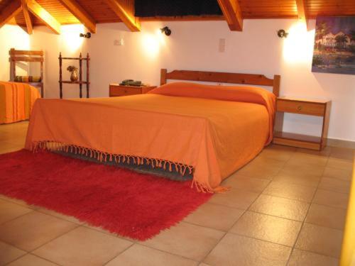 标准单人间, Athina