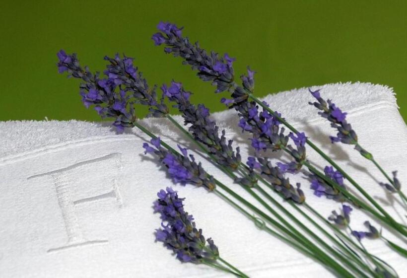 اتاق استاندارد, Ferrinho