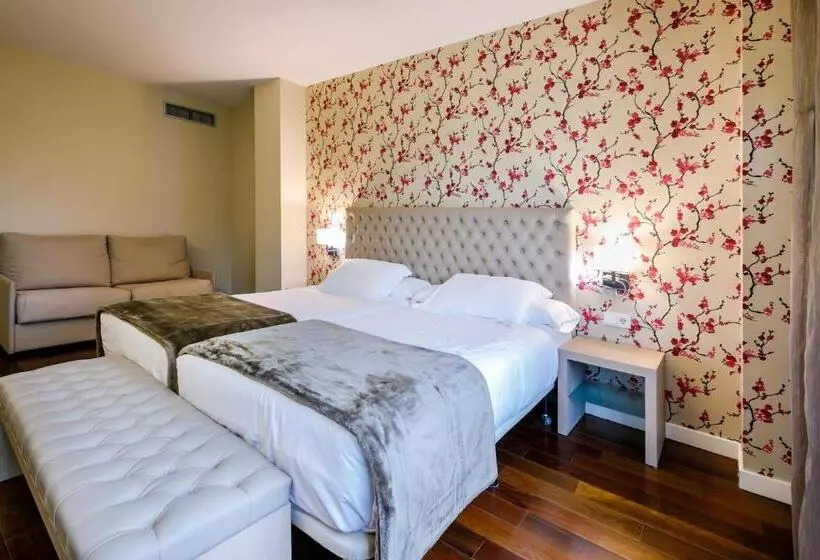 Deluxe-huone, U Hotel Spa Ciudad De Astorga