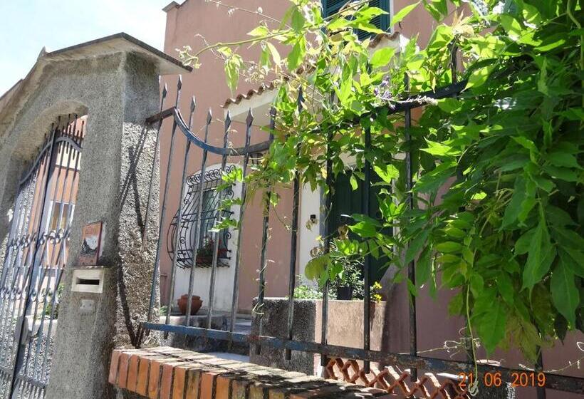 디럭스 룸, Bed&bluup