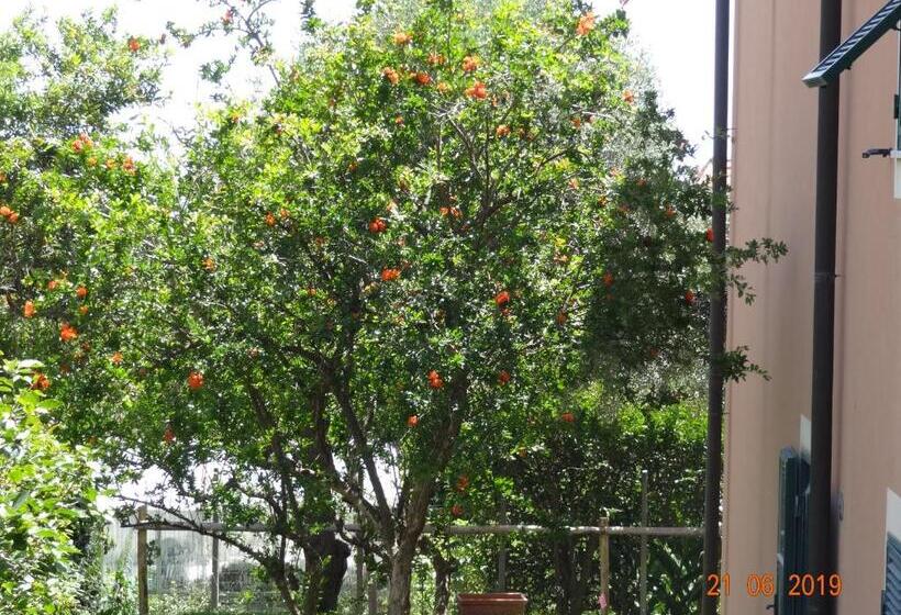 디럭스 룸, Bed&bluup