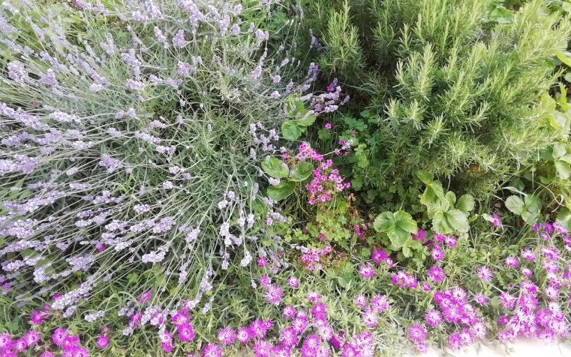 דירת חדר דלוקס, Agriturismo Fioralba