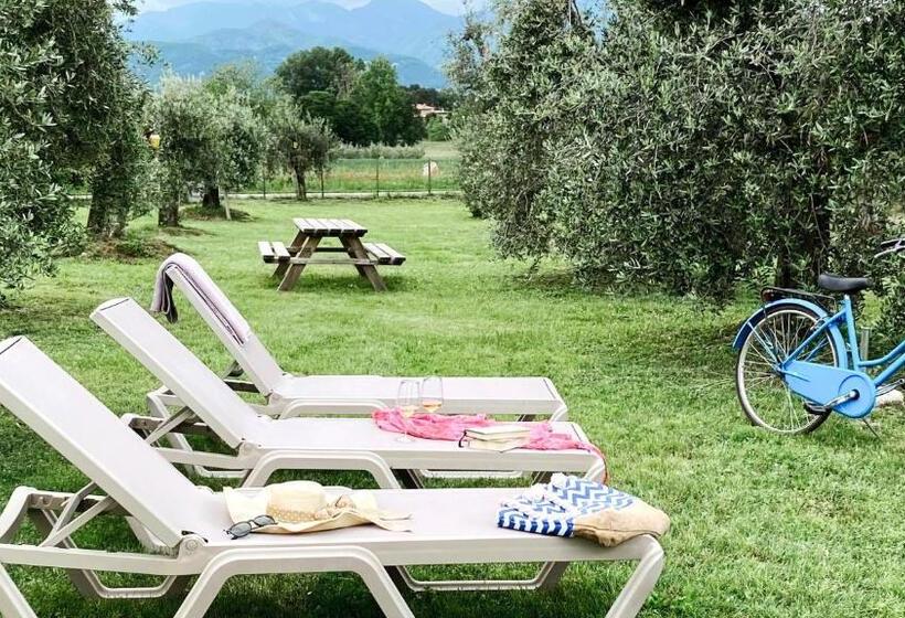 דירת חדר דלוקס, Agriturismo Fioralba