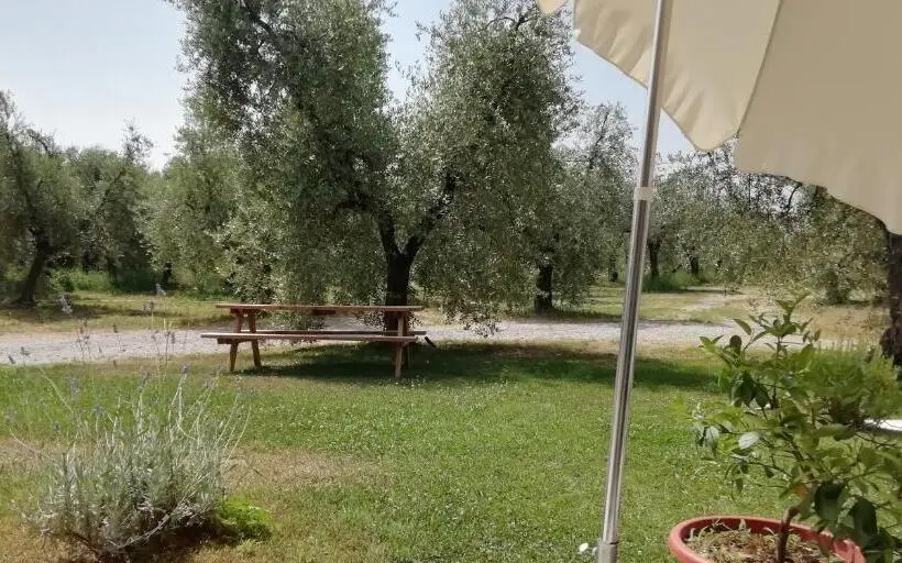 １階の１ベッドルームアパートメント, Agriturismo Fioralba
