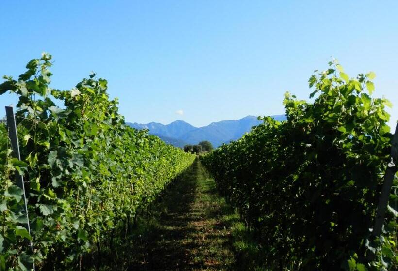 דירת חדר בקומת קרקע, Agriturismo Fioralba