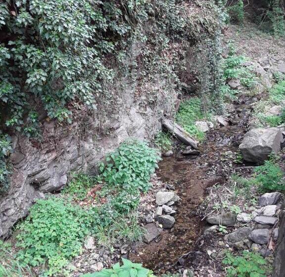 标准间带阳台, Haus Zum Prater