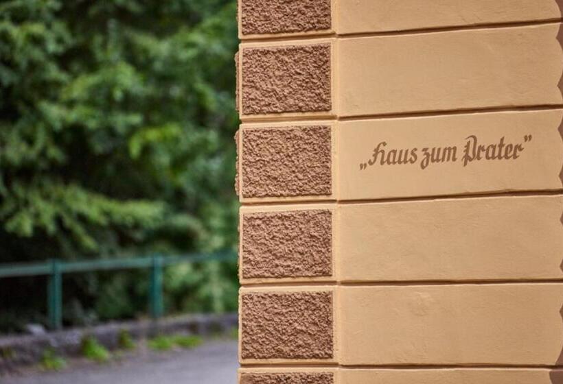 标准房带园景, Haus Zum Prater