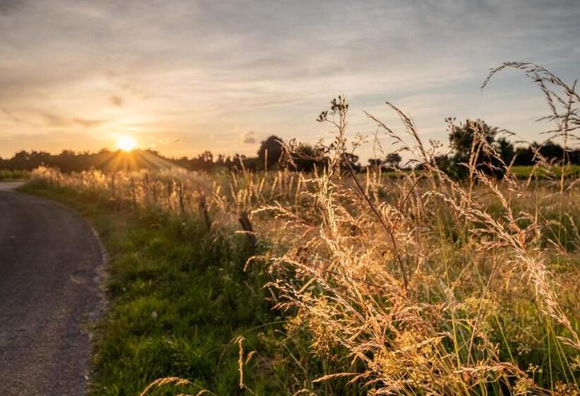 Номер Стандарт Вид на Парк, Studio Nathalie Et Sebastien