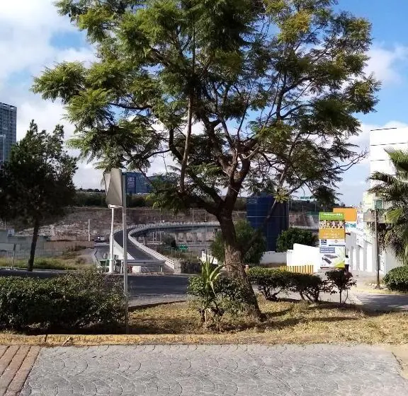 اتاق استاندارد, Milenio Iii B&b