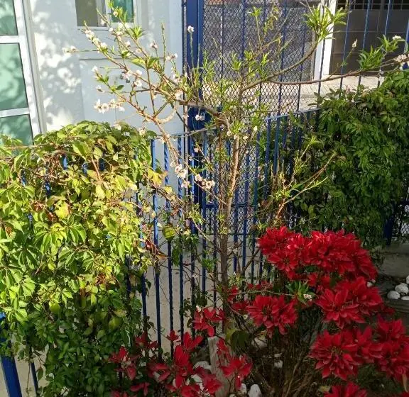 اتاق استاندارد, Milenio Iii B&b