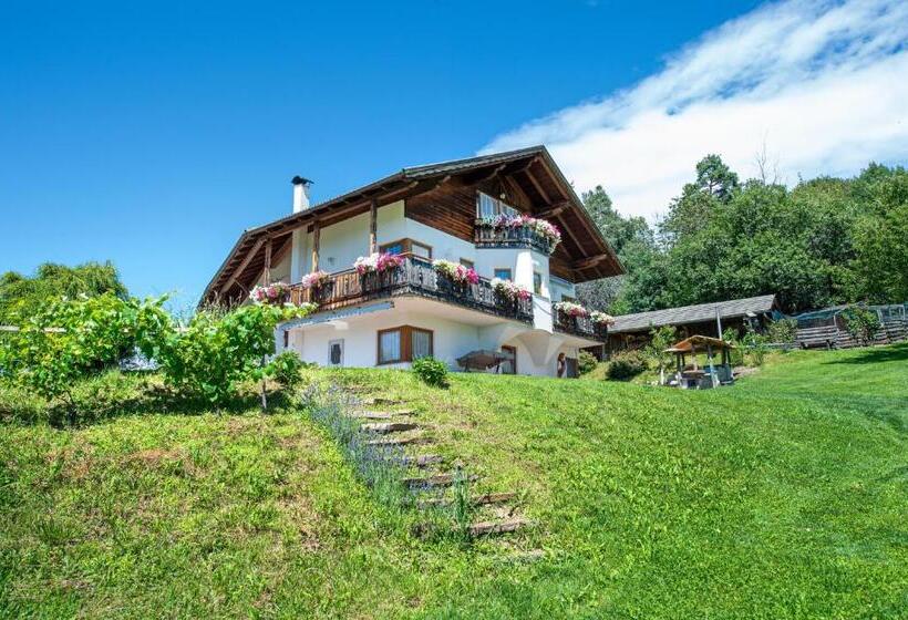 חדר סטנדרט עם מרפסת, Bonichhof