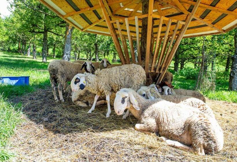 דירת שני חדרים, Bonichhof