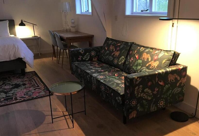 استودیوی استاندارد, Ninet7