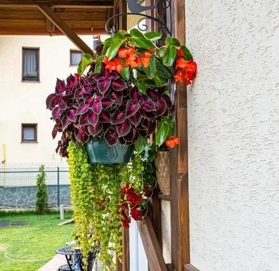 デラックスルーム, Residence Rooms Bucovina