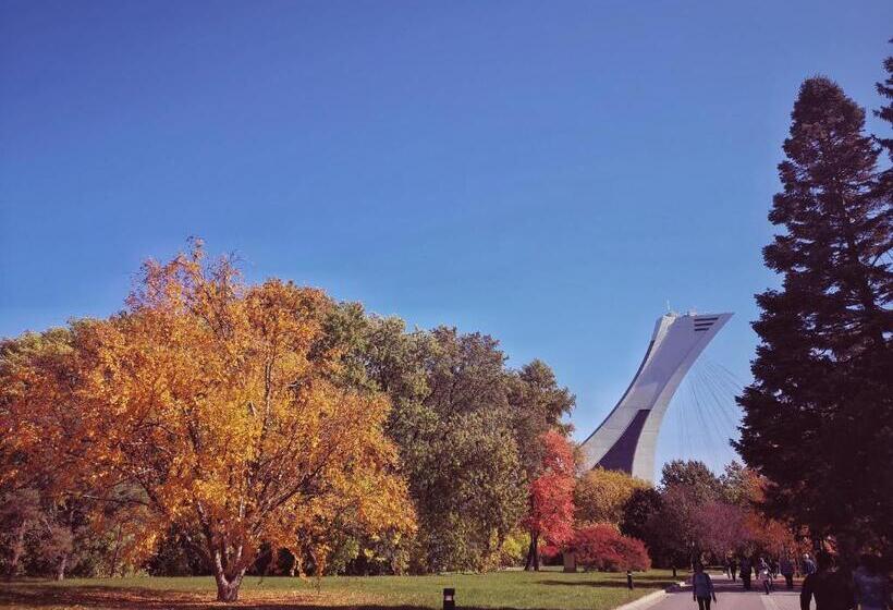 标准间, Homa Homestay Hotel By Olympic Stadium Montreal Auberge Hostel