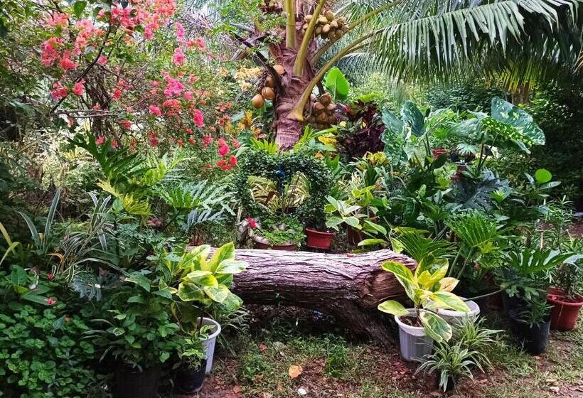 اتاق خانوادگی, Lighthaus Dp Garden Resort