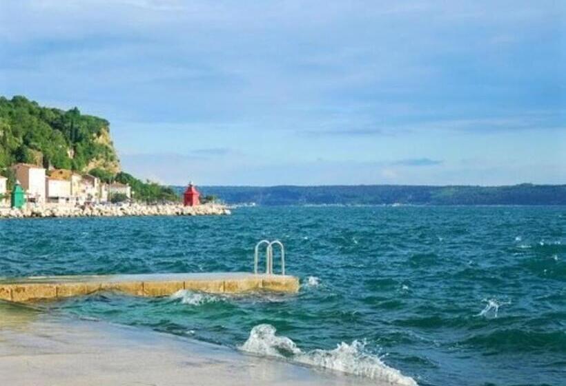 اتاق استاندارد, Piranart Boutique Hotel & More