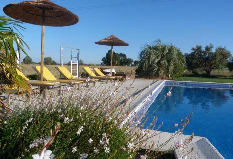 Номер Стандарт с Террасой, Trendy And Luxe B&b And Garden Suite